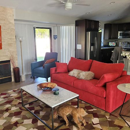 Beautiful Palm Springs Home Large Private Yard Ngoại thất bức ảnh